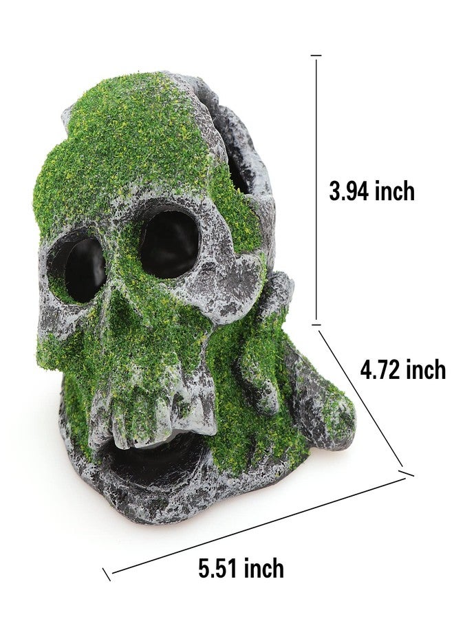 AQUA KT Aquarium Landscape Head Skeleton Skull Rock Fish Hiding Place Cichlid Cave for Gold Betta Fish Tank Decoration Freshwater or Marine Aquariums - Image 4